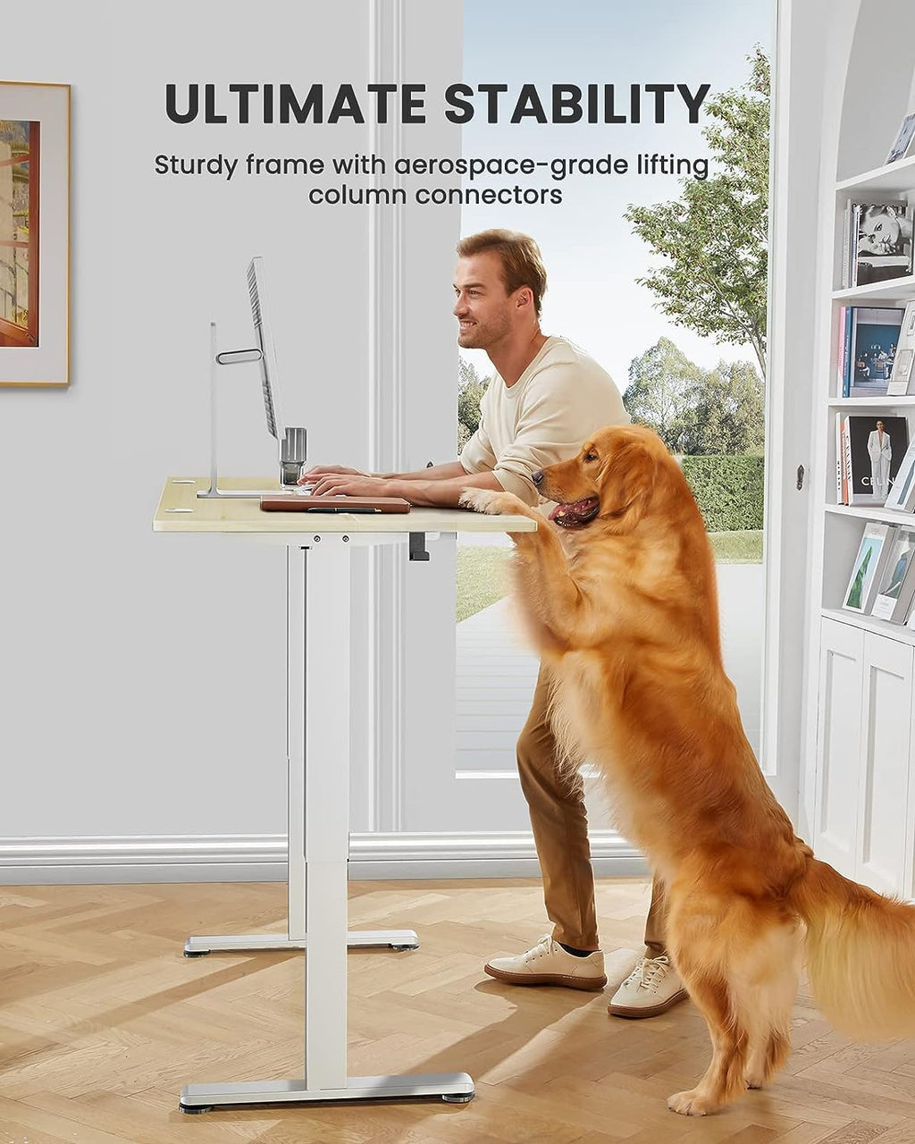 ErGear Electric Standing Desk – 120x60cm Height Adjustable Sit Stand Desk
