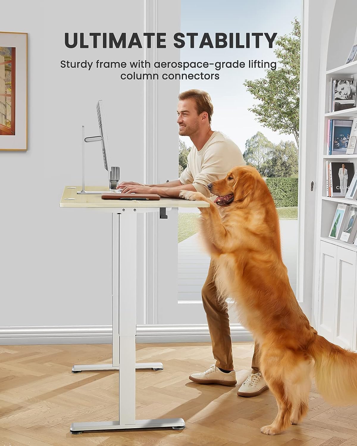 ErGear Electric Standing Desk – 120x60cm Height Adjustable Sit Stand Desk