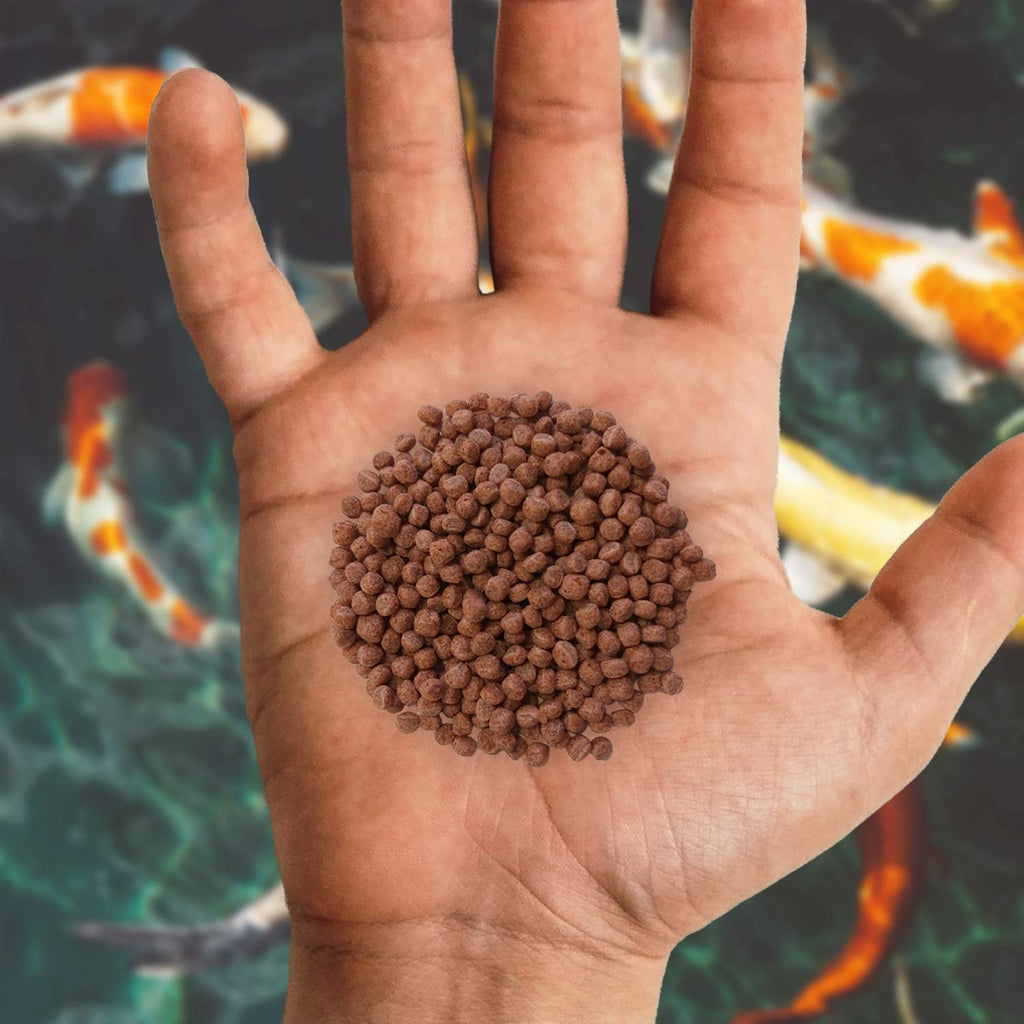Nishikoi Growth Koi & Pond Fish Food | High Protein Small Pellets – 2.5kg