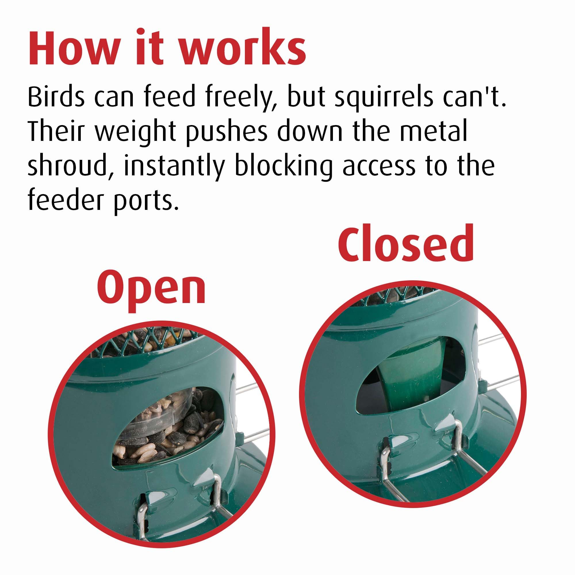 Jacobi Jayne Squirrel Buster Seed Bird Feeder – Metal Pigeon Proof Design