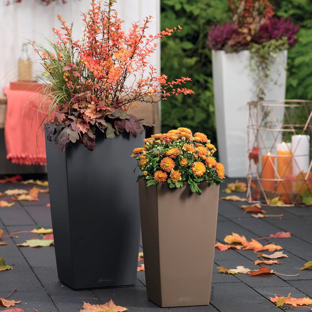 Lechuza CUBICO Color 30 Self-Watering Planter | Nutmeg Matte Plastic
