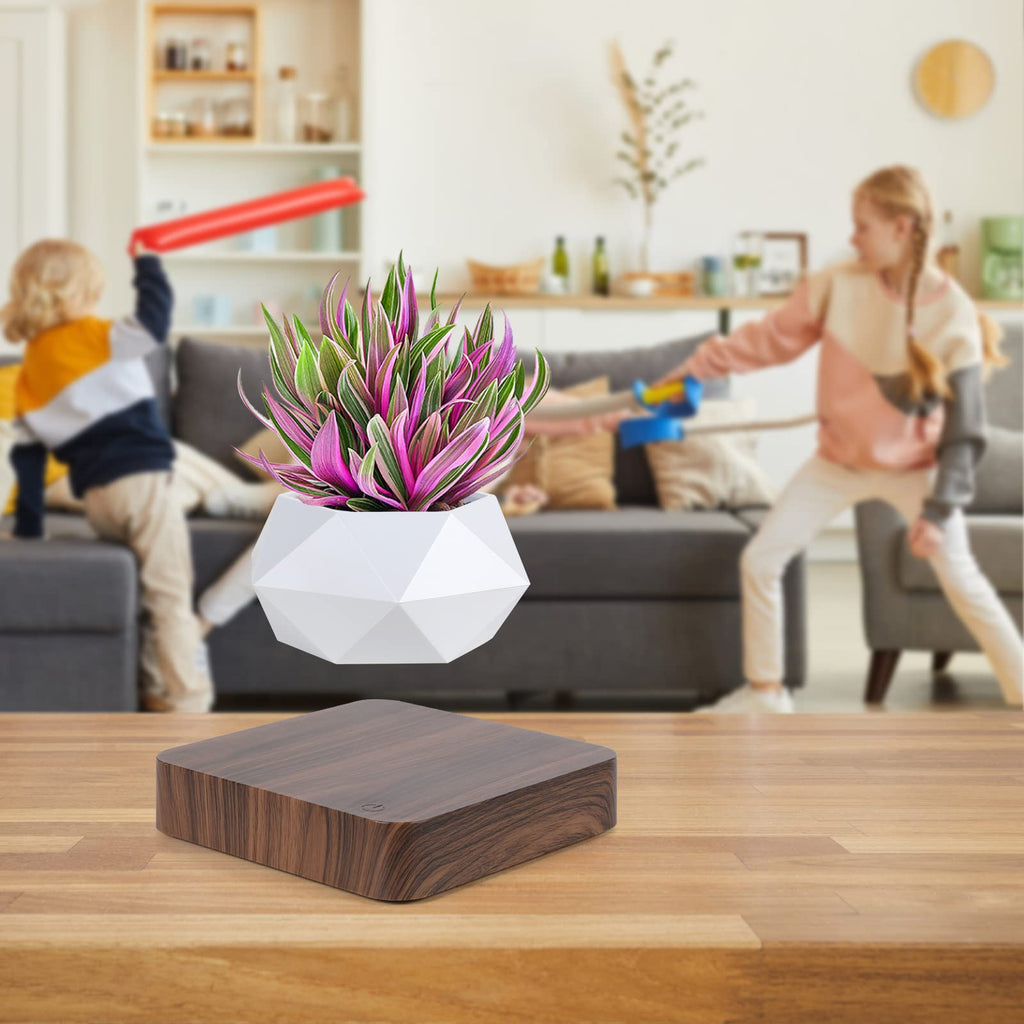 Jolof Store Magnetic Levitating Air Bonsai Pot – Rotating Floating Planter