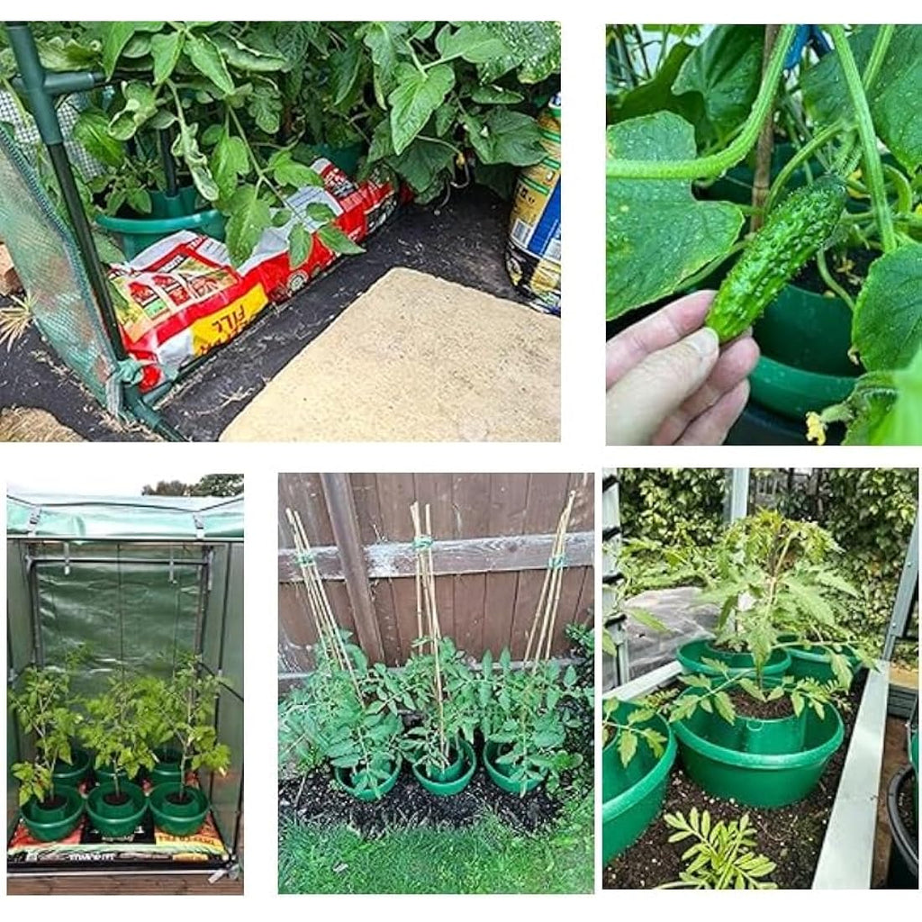 Jolof Store Plant Halo Self-Watering Pot and Crop Support System – Green