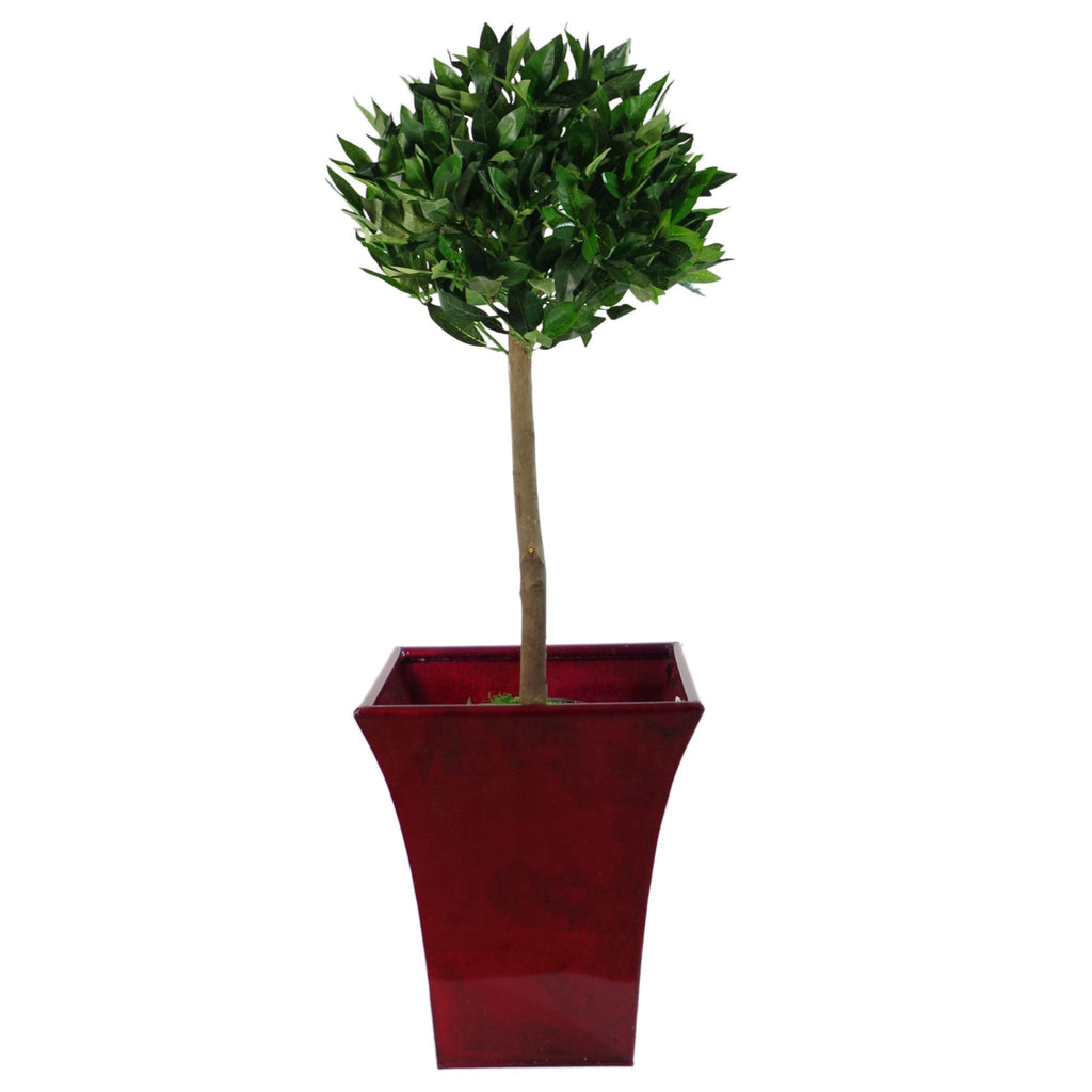 Leaf Design UK Artificial Bay Laurel Topiary Ball Tree, Green, 120cm