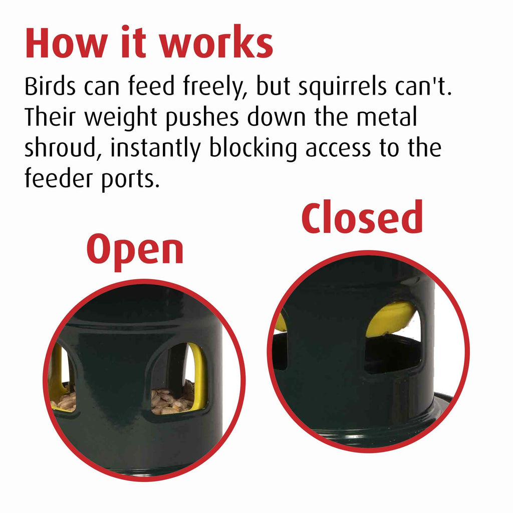 Jacobi Jayne Squirrel Buster Evolution - Metal Squirrel-Proof Bird Feeder