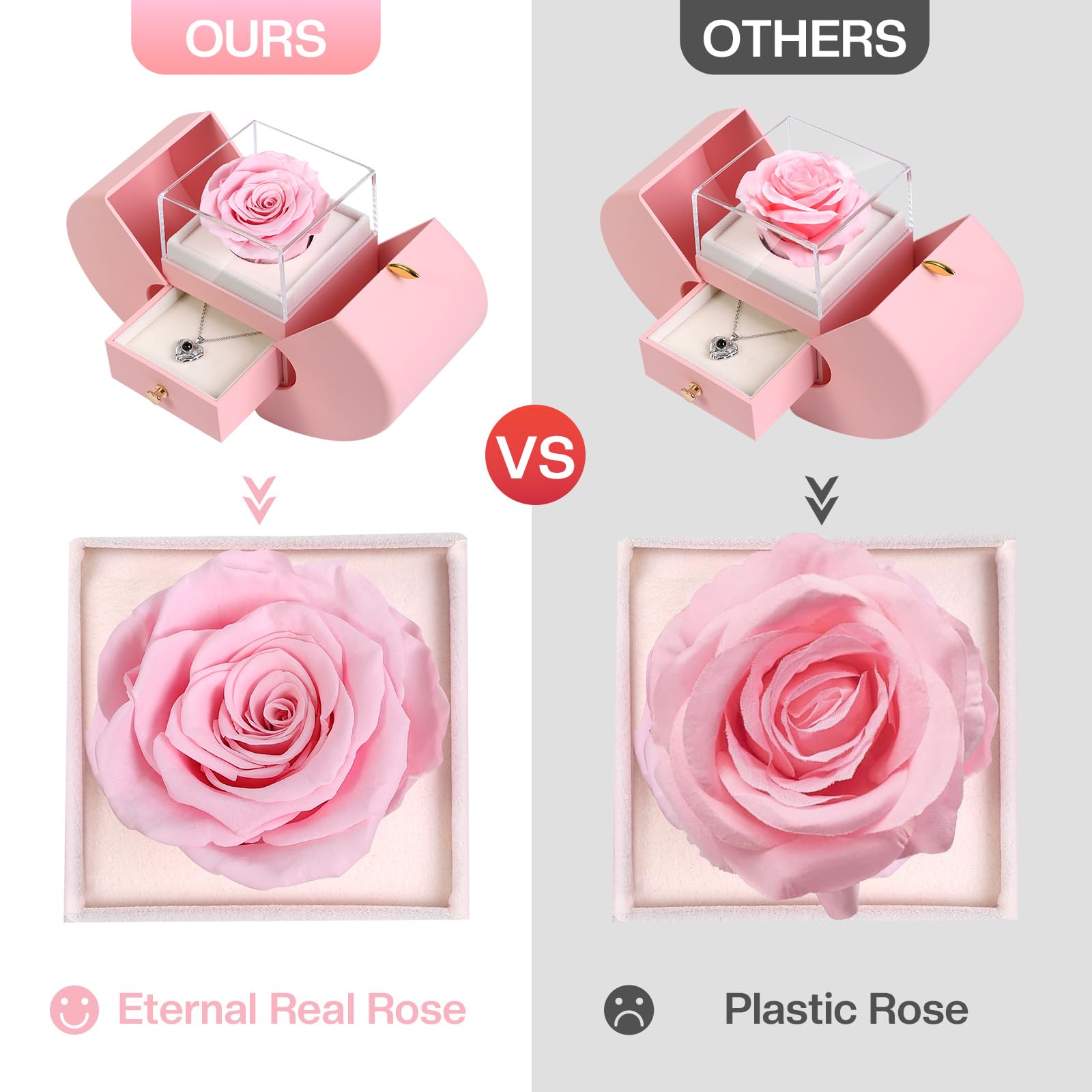 Firestyle Preserved Real Rose Gift Box with 100 Languages Love Necklace