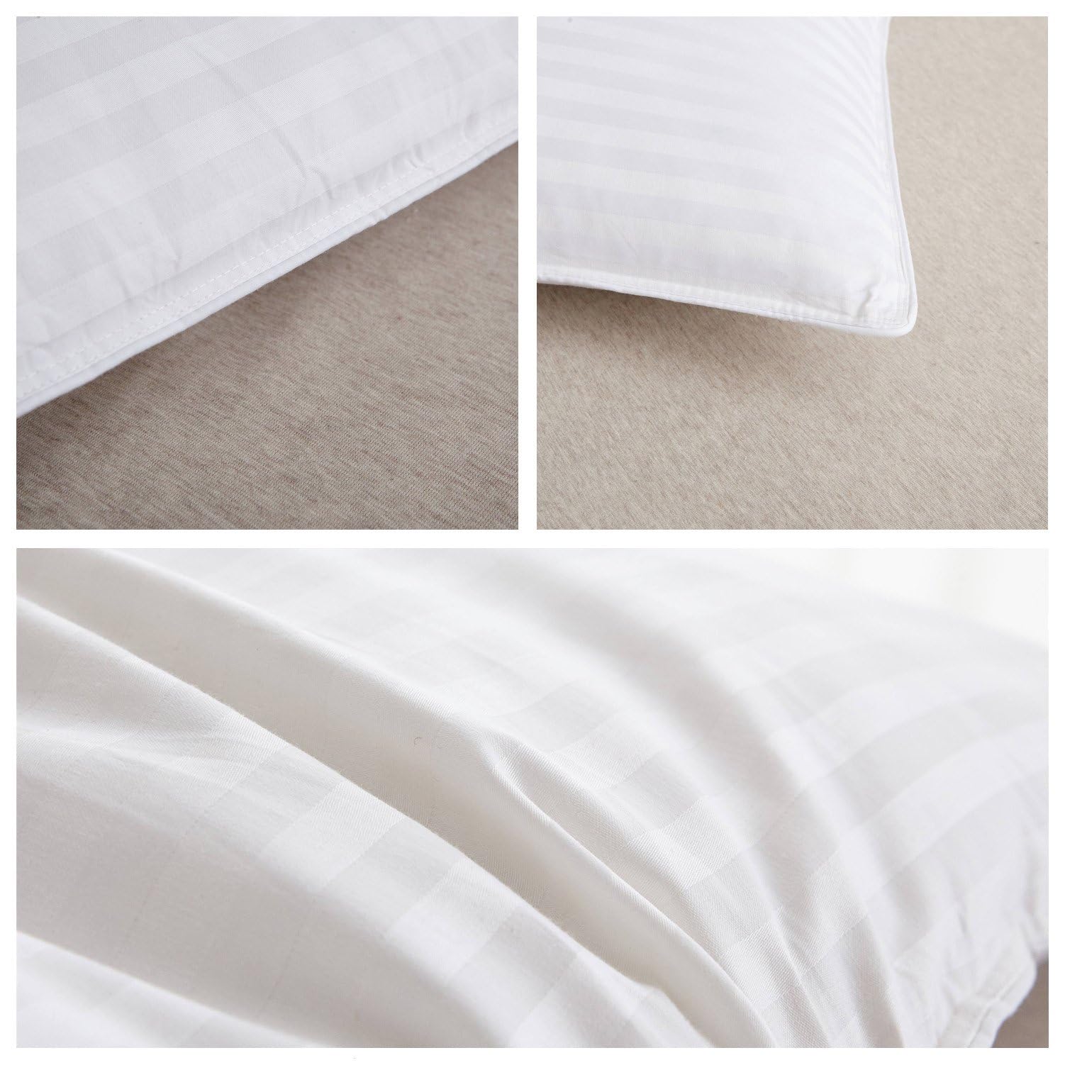 HOMEFOUCS Luxury Feather and Down Pillows | 100% Cotton Shell | Pack of 2