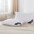 YZTEX Goose Feather and Down Pillows | 100% Cotton Shell | 2 Pack