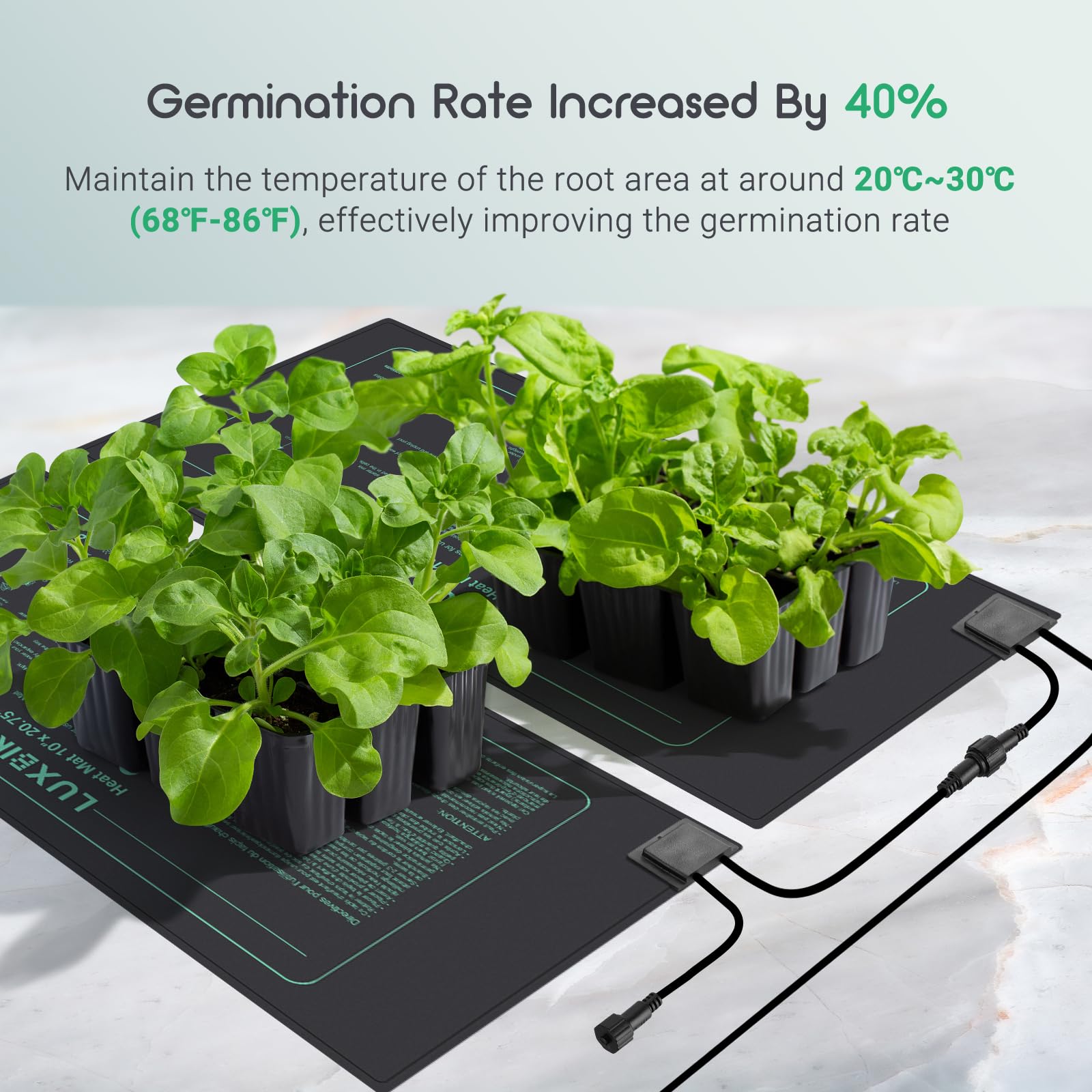 Luxbird 2-Pack Seedling Heat Mats with Digital Thermostat, 10" x 20.75"