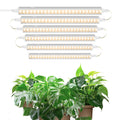 Barrina T5 1FT LED Grow Lights | Full Spectrum Yellow Plant Strips, 6-Pack