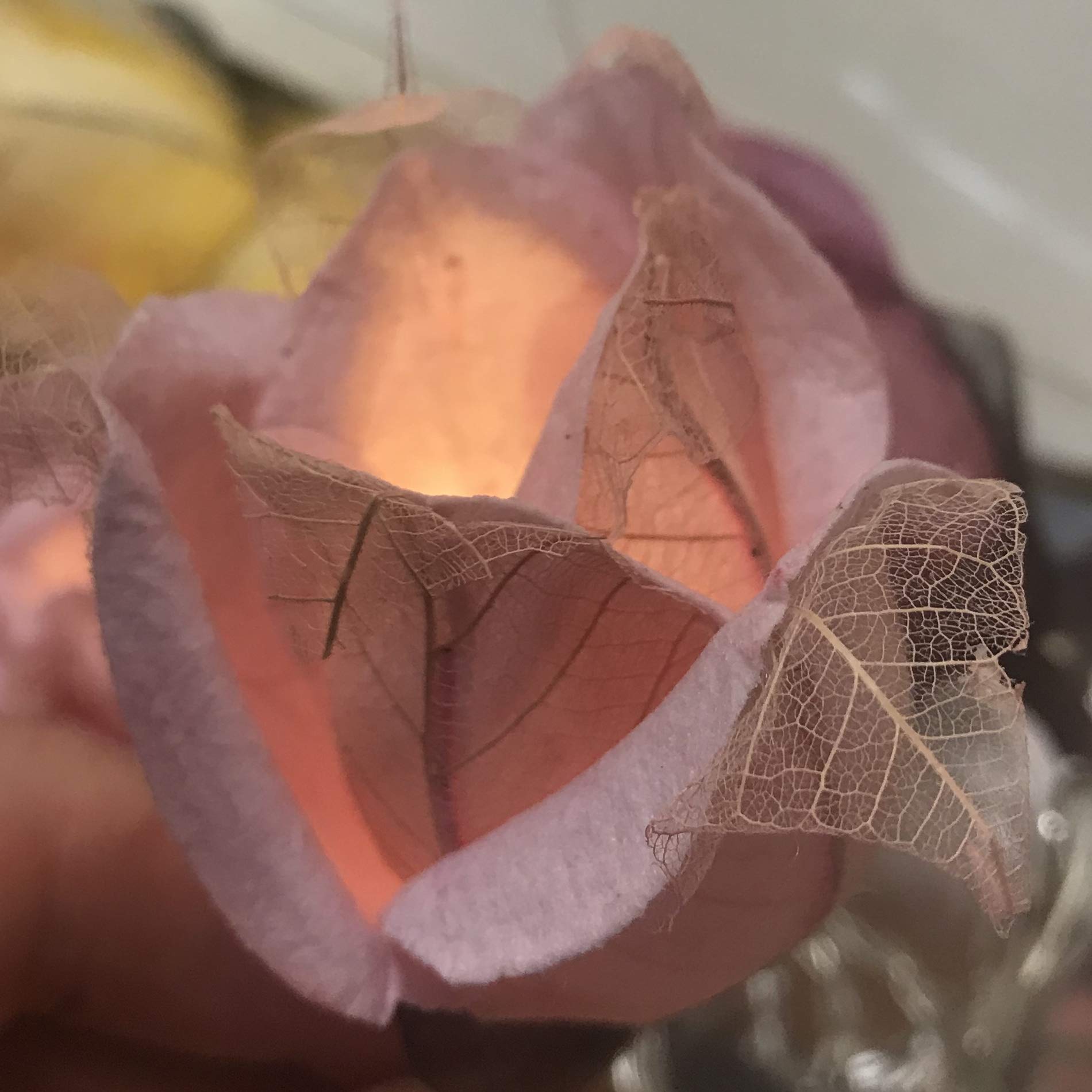 Blaze On Chelsea Rose Fairy Lights – 20 Pink Mulberry Paper LED String