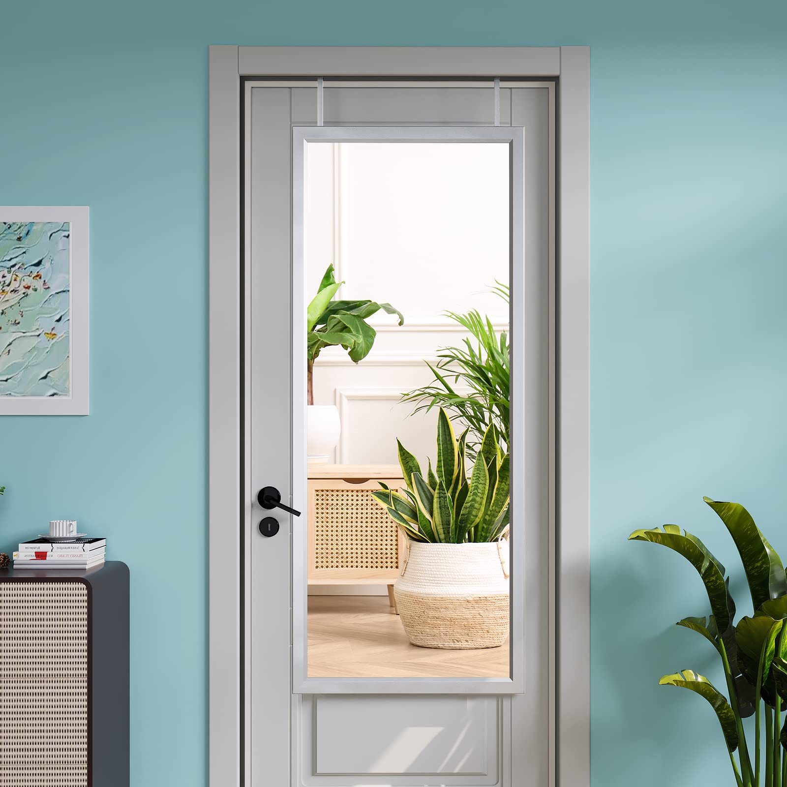 Dripex Full Length Over Door Mirror – 110x45cm Toughened Glass Silver