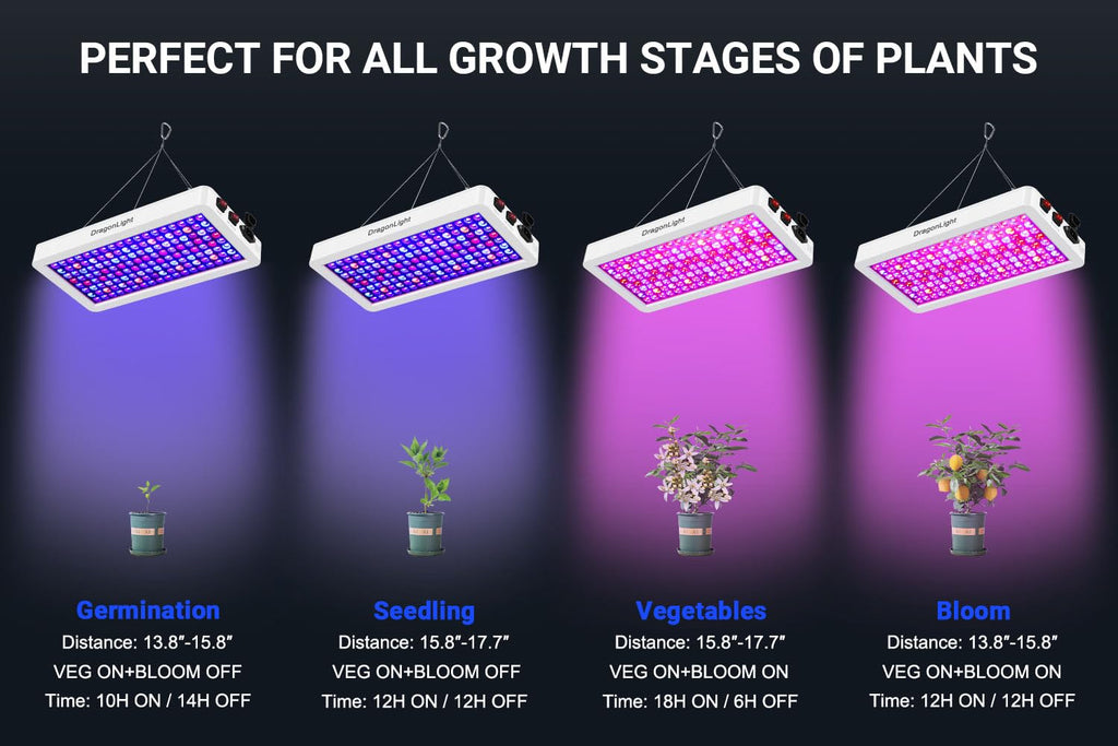 Jolof Store BW2000 LED Grow Lights | Full Spectrum Double Chip Veg & Bloom