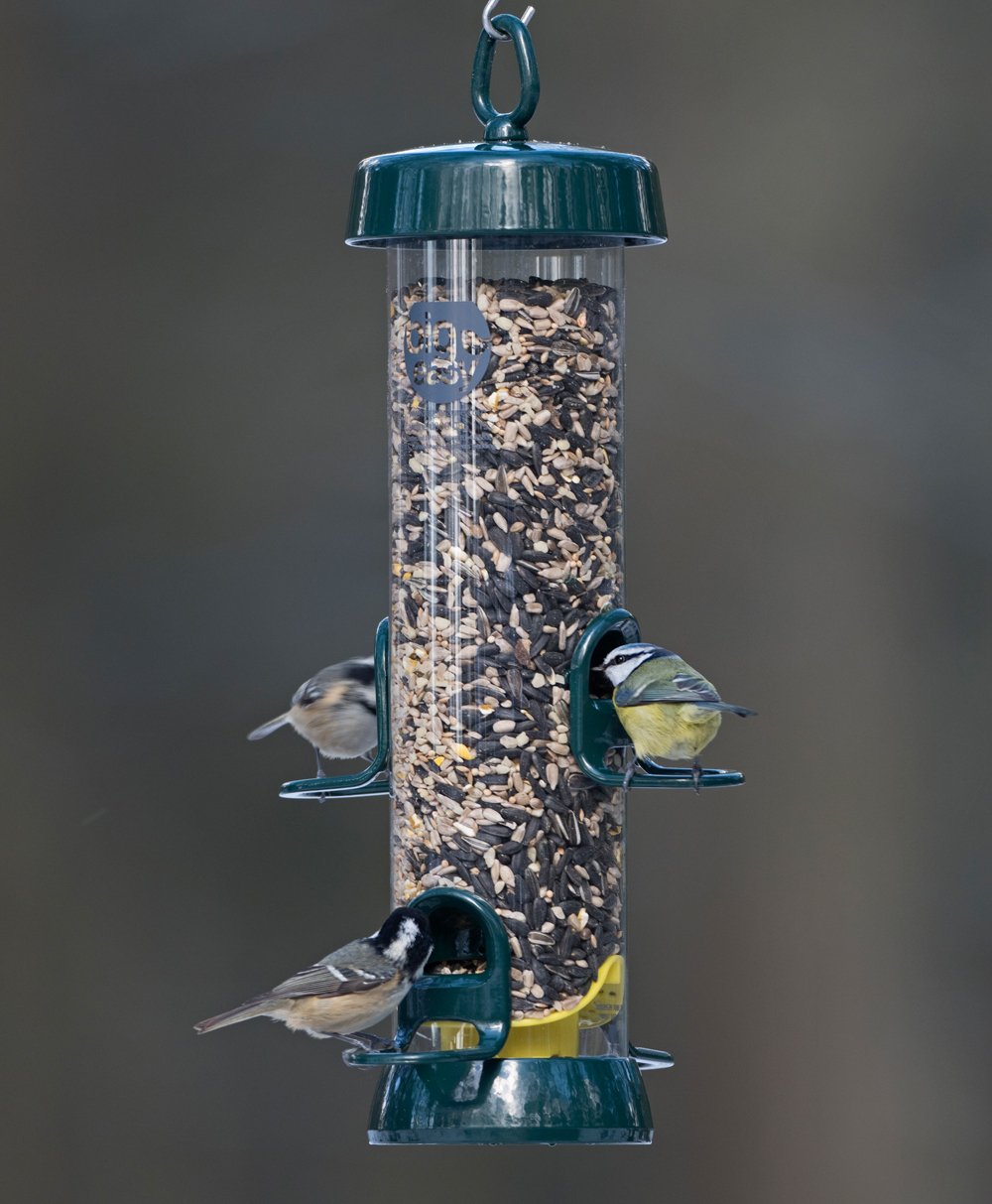 Jacobi Jayne BigEasy Seed Bird Feeder – Squirrel-Resistant, 1.6L