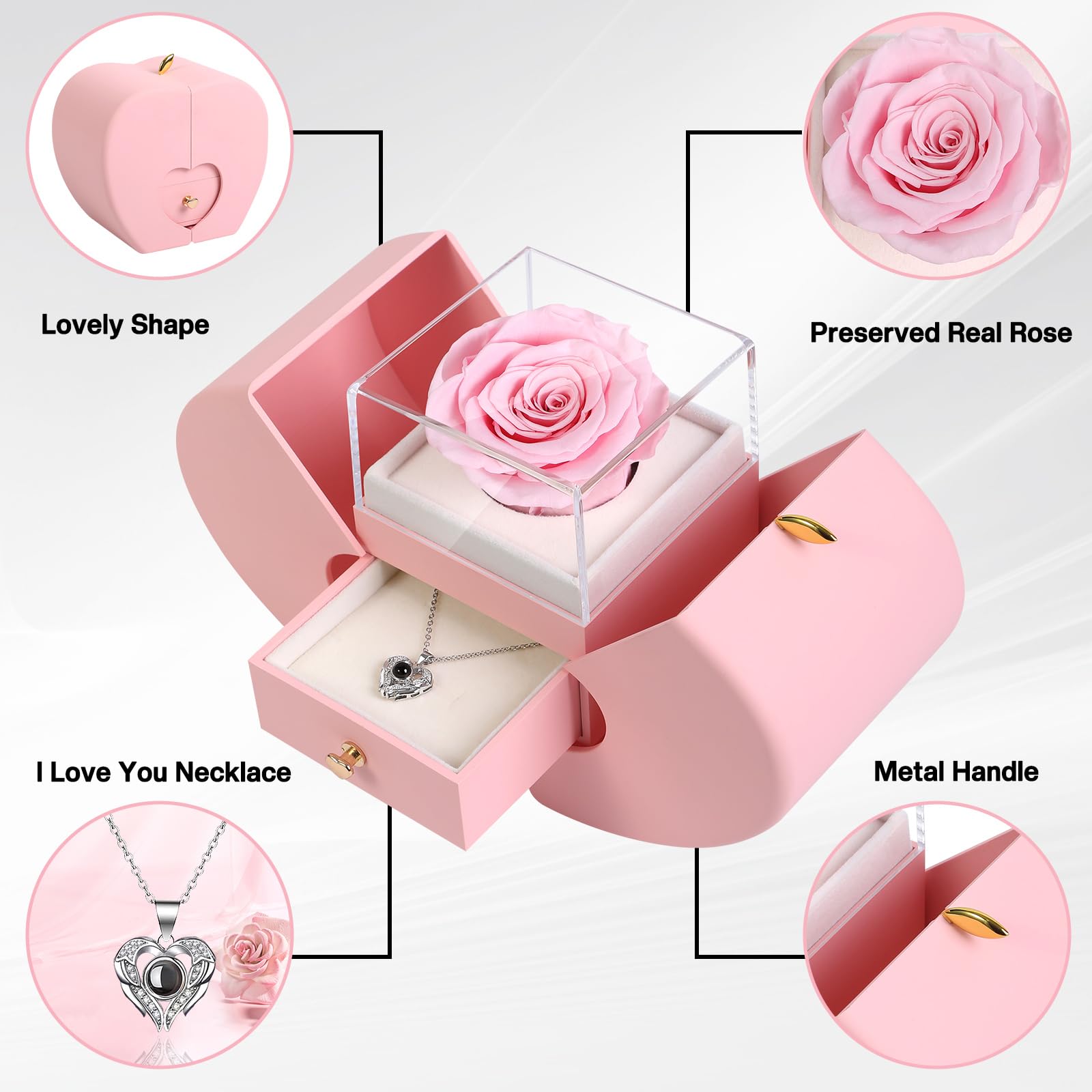 Firestyle Preserved Real Rose Gift Box with 100 Languages Love Necklace