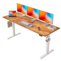 Agilestic Electric Standing Desk, 2 Memory Buttons, 160x60cm
