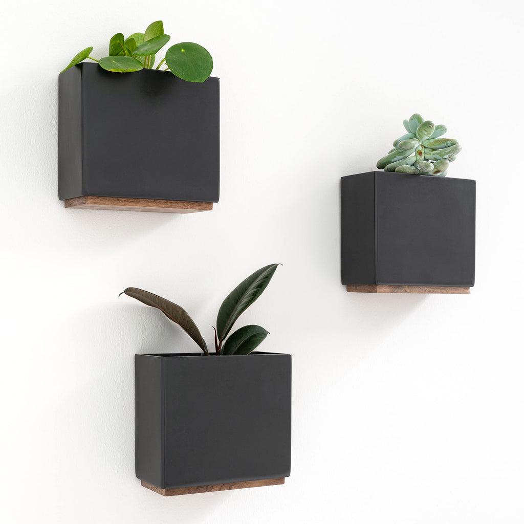 Kazai Alma Wall Planters | Set of 3 Resin & Wood Hanging Indoor Pots