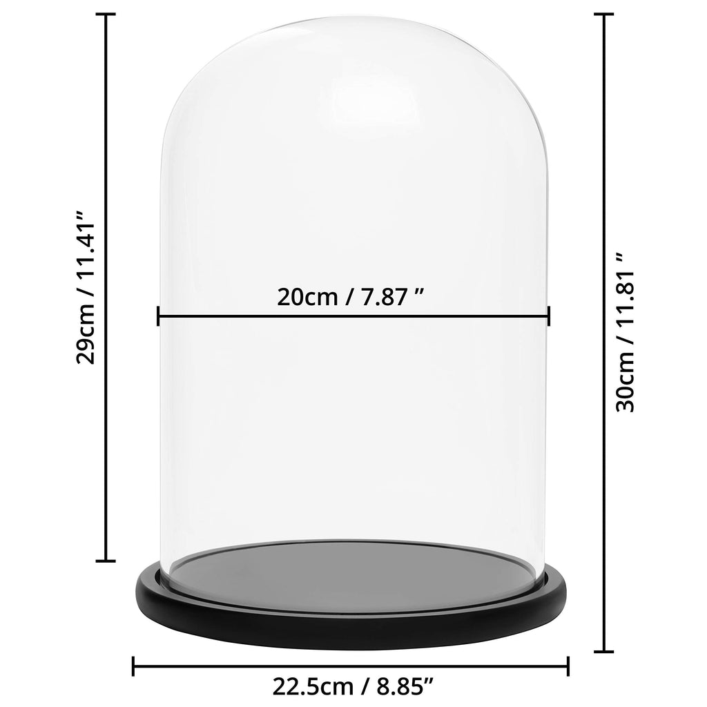 Belle Vous Glass Dome Cloche Bell Jar with Black Wooden Base - 30cm