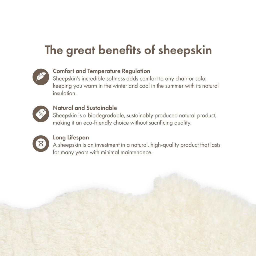Nordic Sheep Real Sheepskin Rug - White Short Hair 90x60 cm |