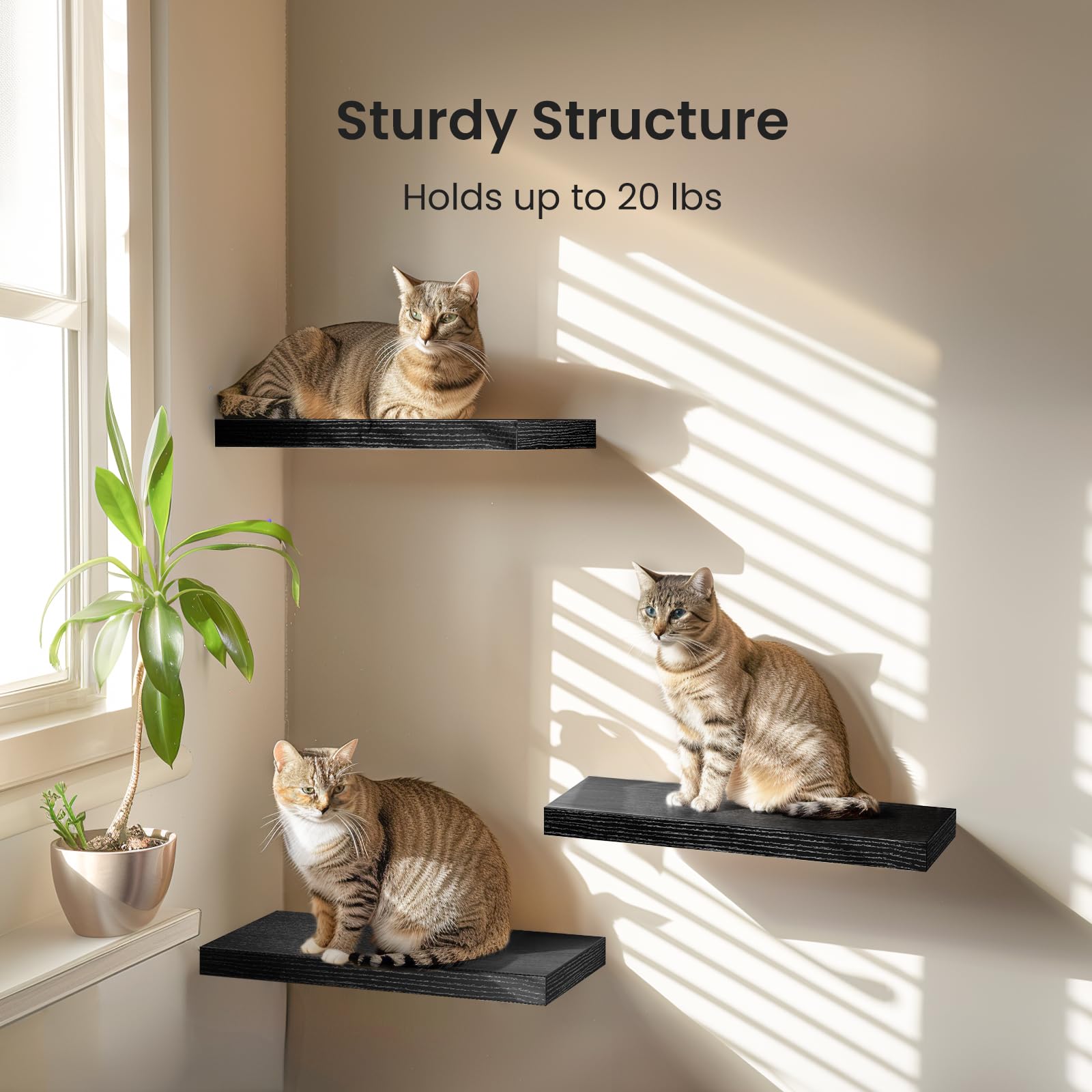 STOREMIC Black Floating Shelves – Set of 3 Modern MDF Wall Shelves