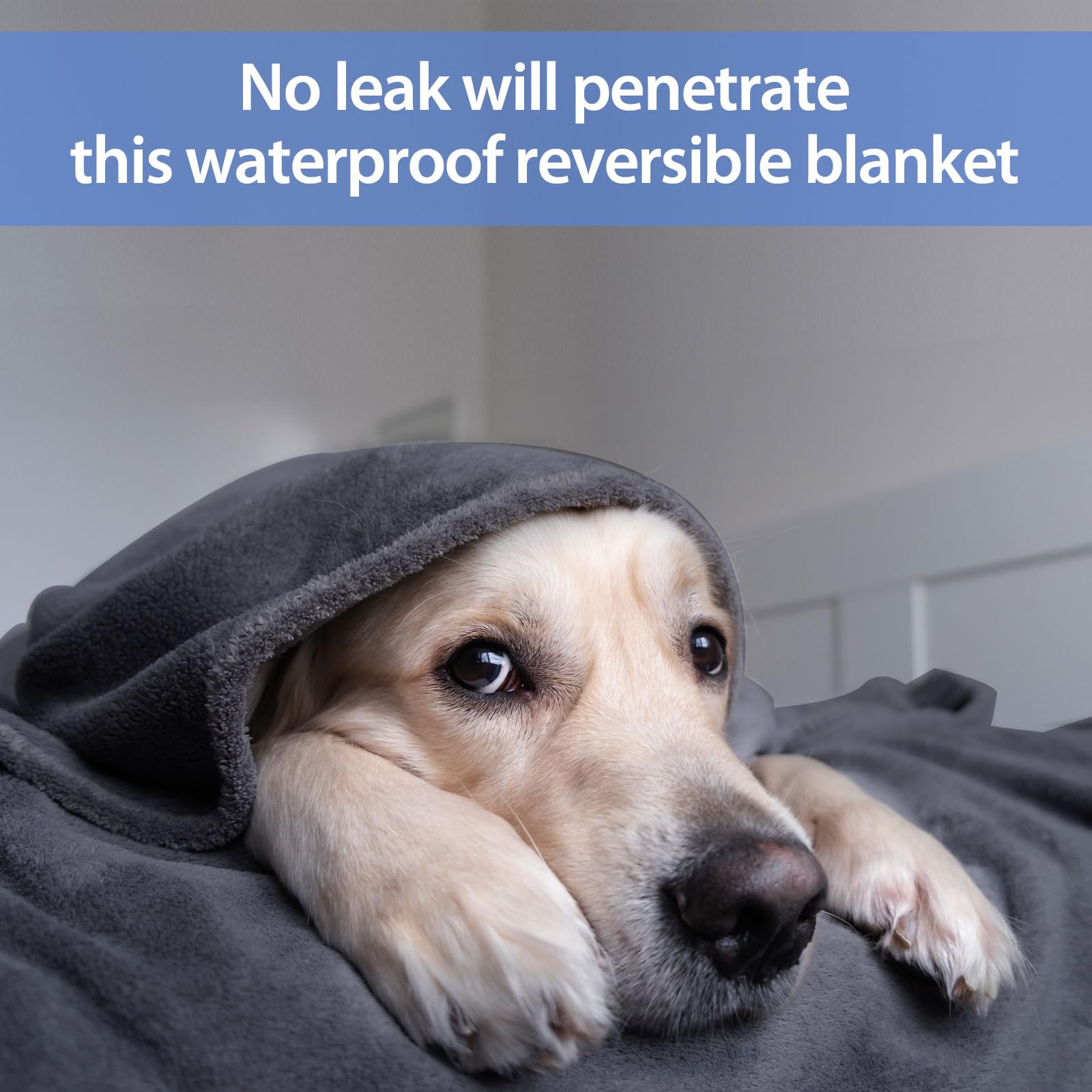 YISURE Waterproof Reversible Blanket – 80x60 Flannel Bed & Sofa Cover