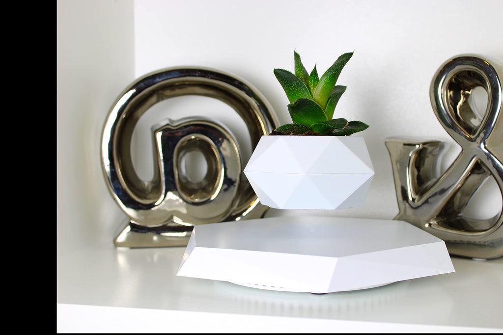 BandD Levitating Plant Pot | Magnetic Floating Planter for Bonsai & Air Plants