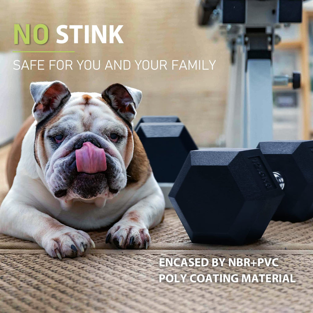 PhysKcal Poly Rubber Hex Dumbbells – Odourless Home Gym Weights