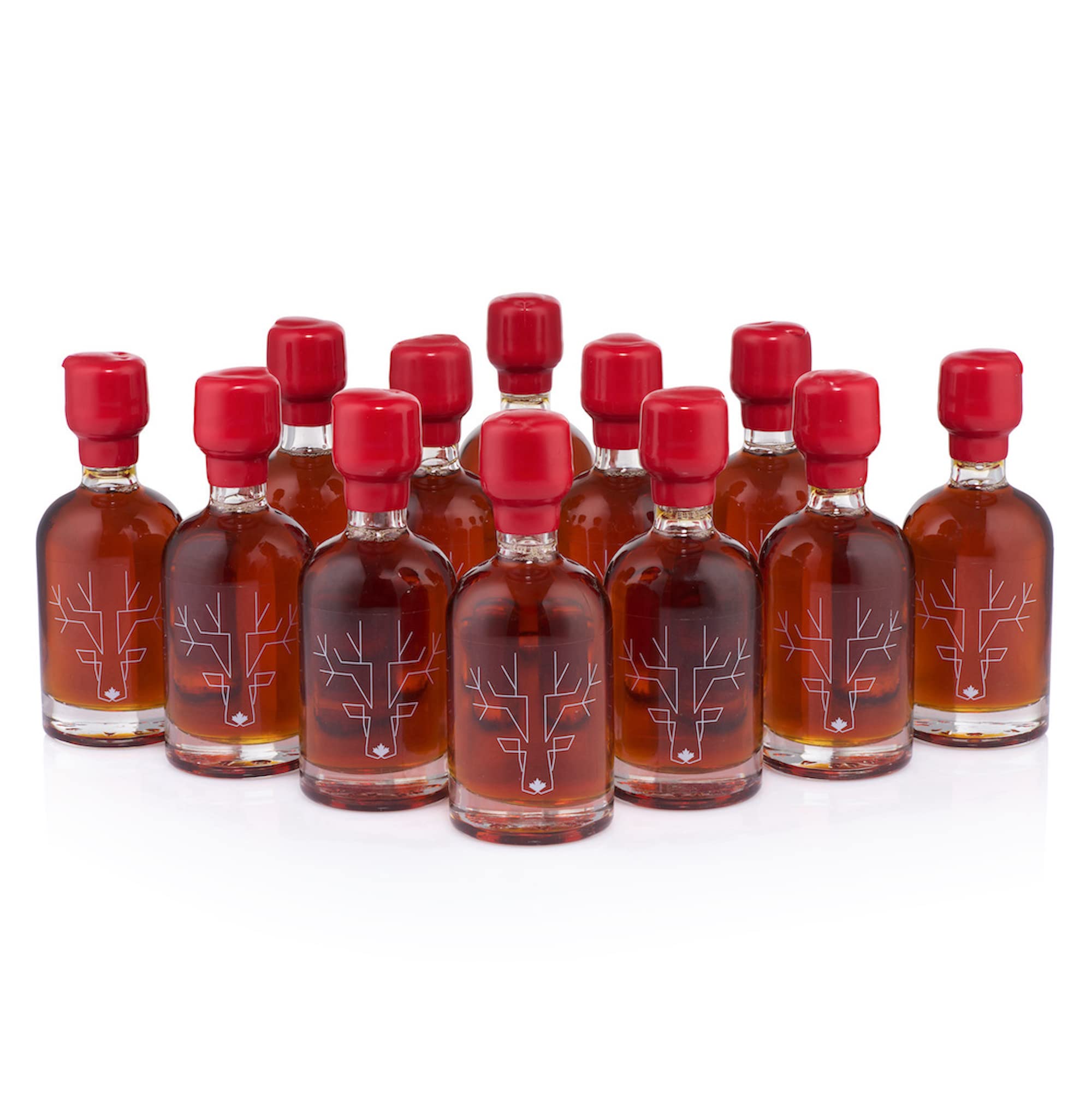 Escuminac Maple Syrup - Great Harvest Dark Robust Taste - 12 x 50ml
