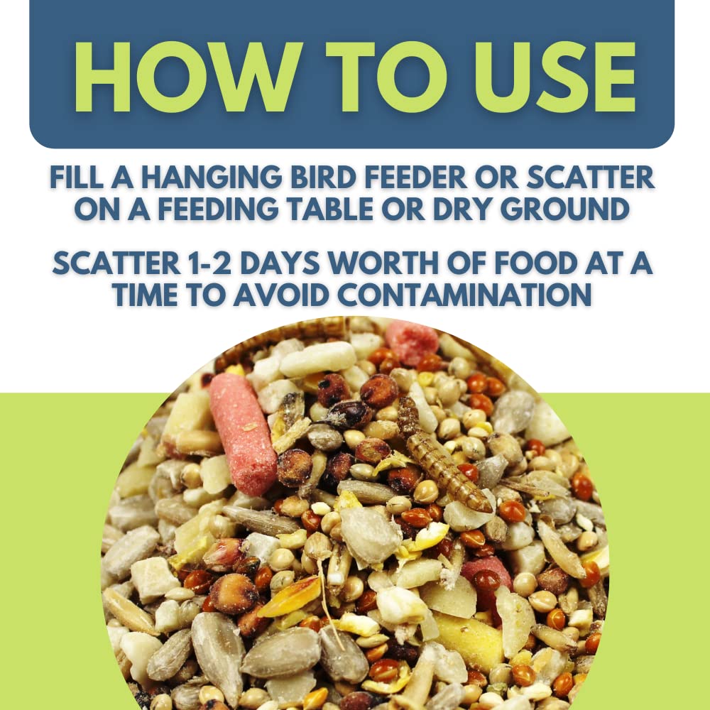 Pet Performance Garden Feast Wild Bird Seed Mix 20kg | Suet & Mealworms