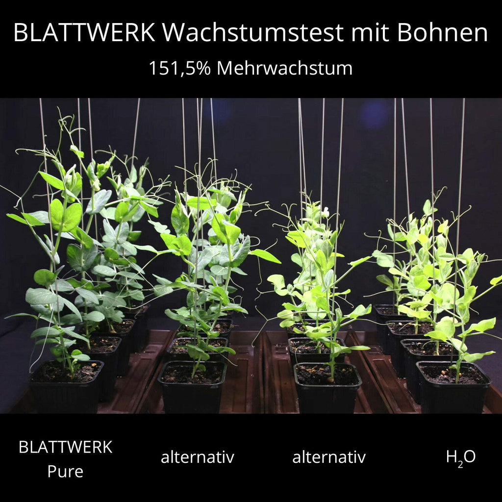 BLATTWERK Pure Organic Liquid Fertiliser | 3x1000ml Vegan Plant Food
