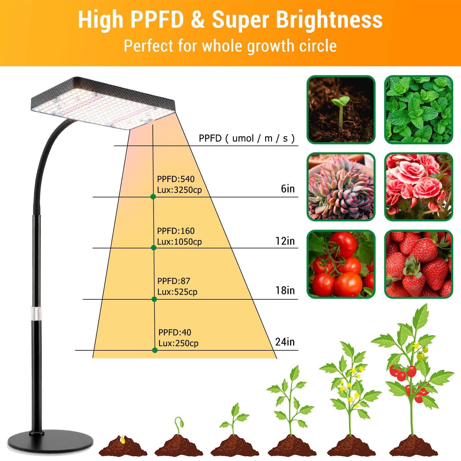 FECiDA Full Spectrum LED Grow Light – 25W Desk Plant Lamp with UV-IR