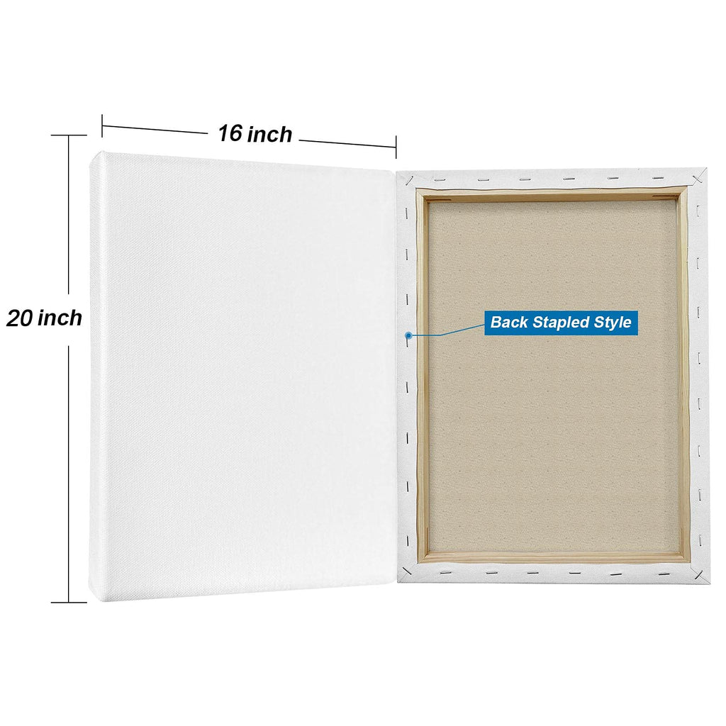 Genixart 16x20 Stretched Canvas 5-Pack | 100% Cotton Primed Artist Canvas