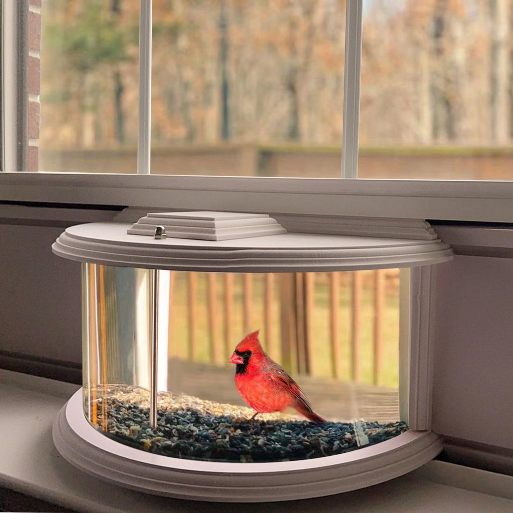 BAIAPEY Window Bird Feeder – 180° Clear View In-Window Bird Watching