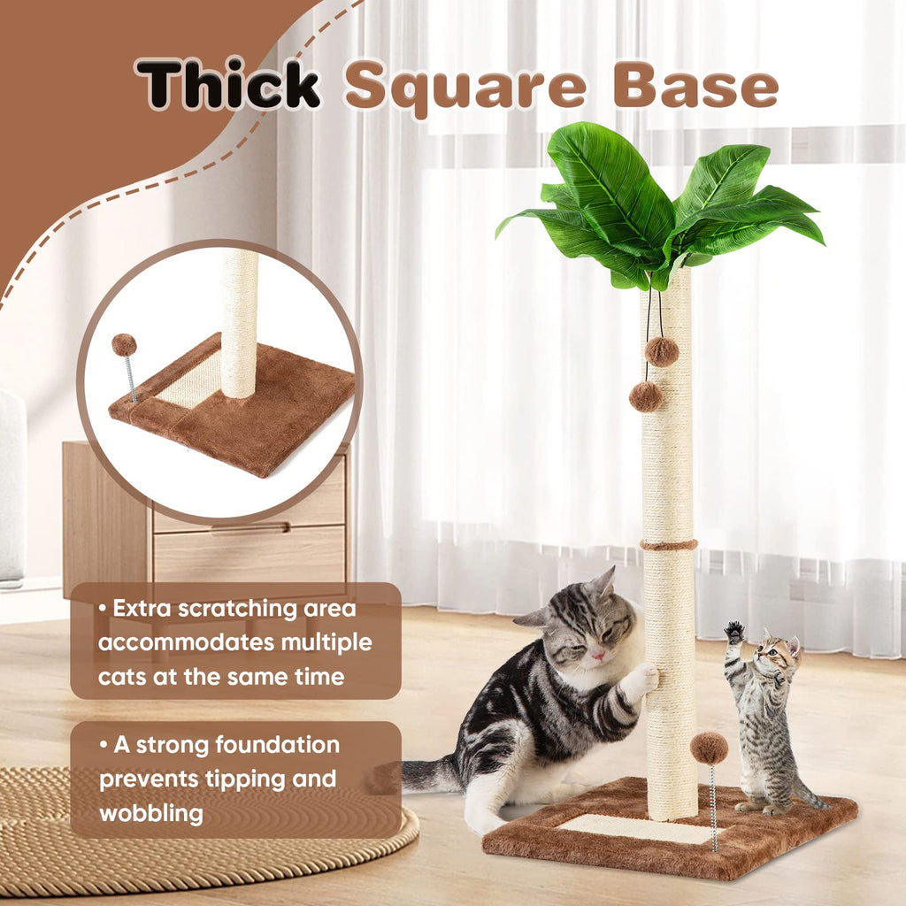 80cm Cat Scratching Post - Sisal Palm Tree for Indoor Cats