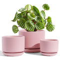 LE TAUCI Ceramic Plant Pots | Set of 3 Indoor Planters with Drainage - Pink