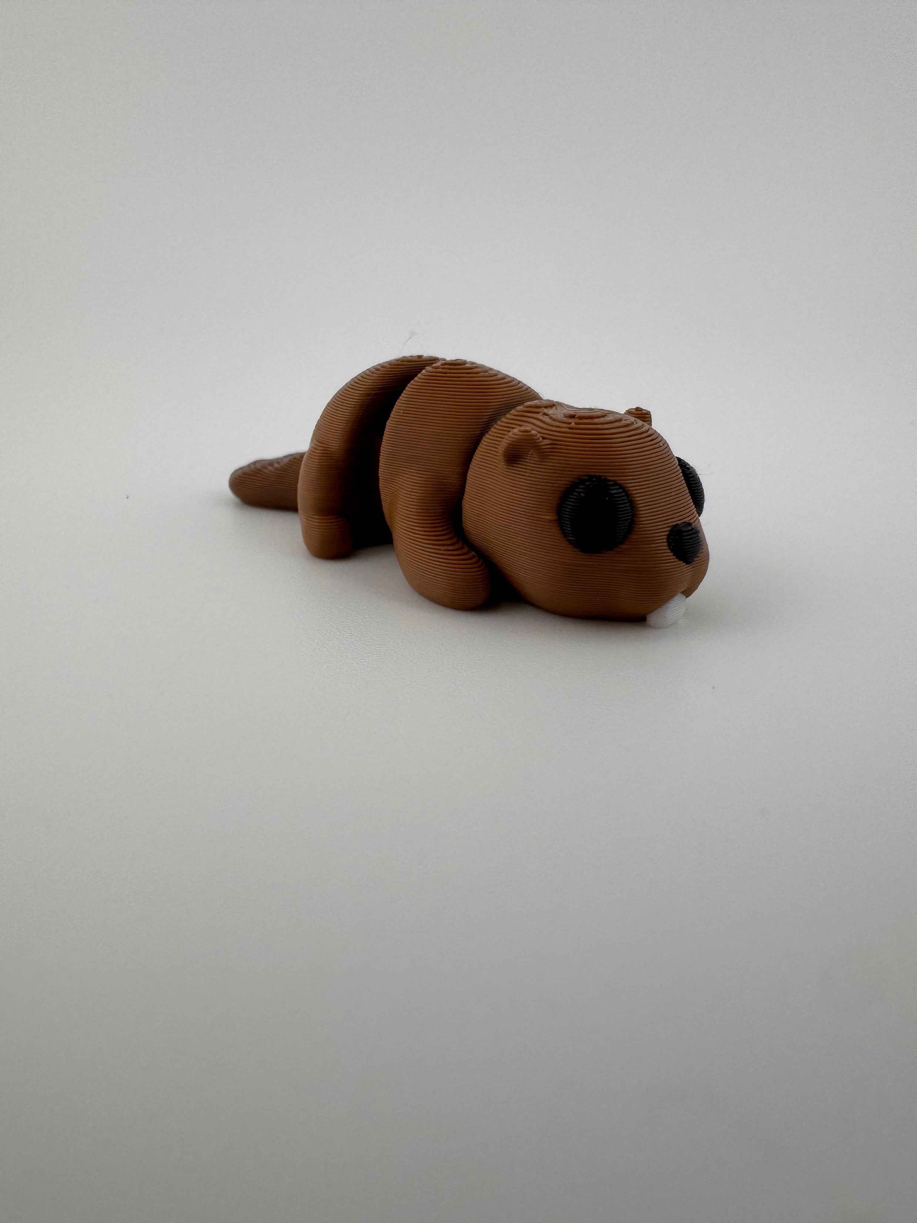 Beaver Fidget - They are DAM good!