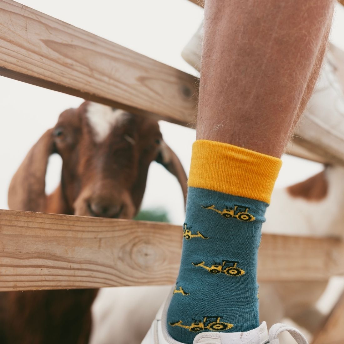 Swole Panda Yellow Digger Bamboo Socks – Novelty Construction Socks