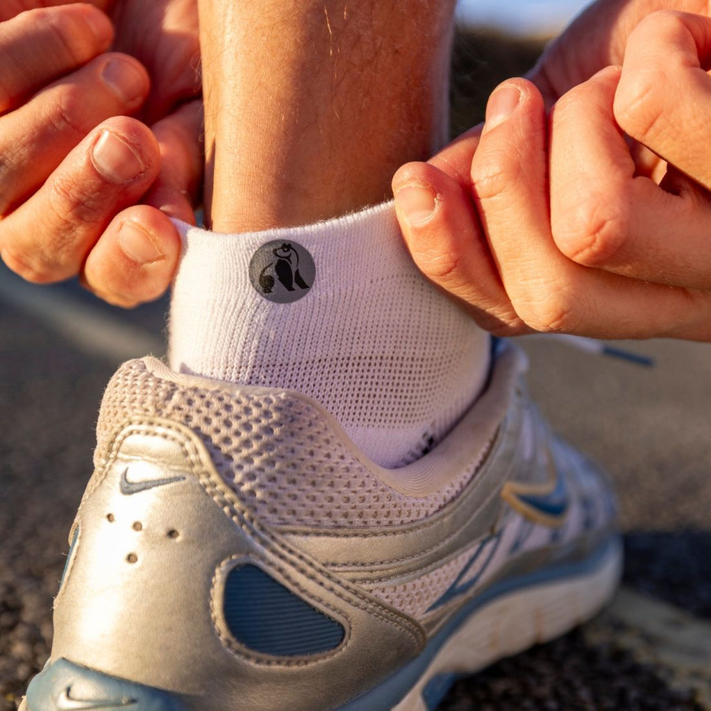 Swole Panda White Performance Trainer Socks – Bamboo Cushioned Athletic Socks
