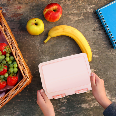 Orsina Pink 2-Section Lunch Box – Durable Meal Prep Bento Container
