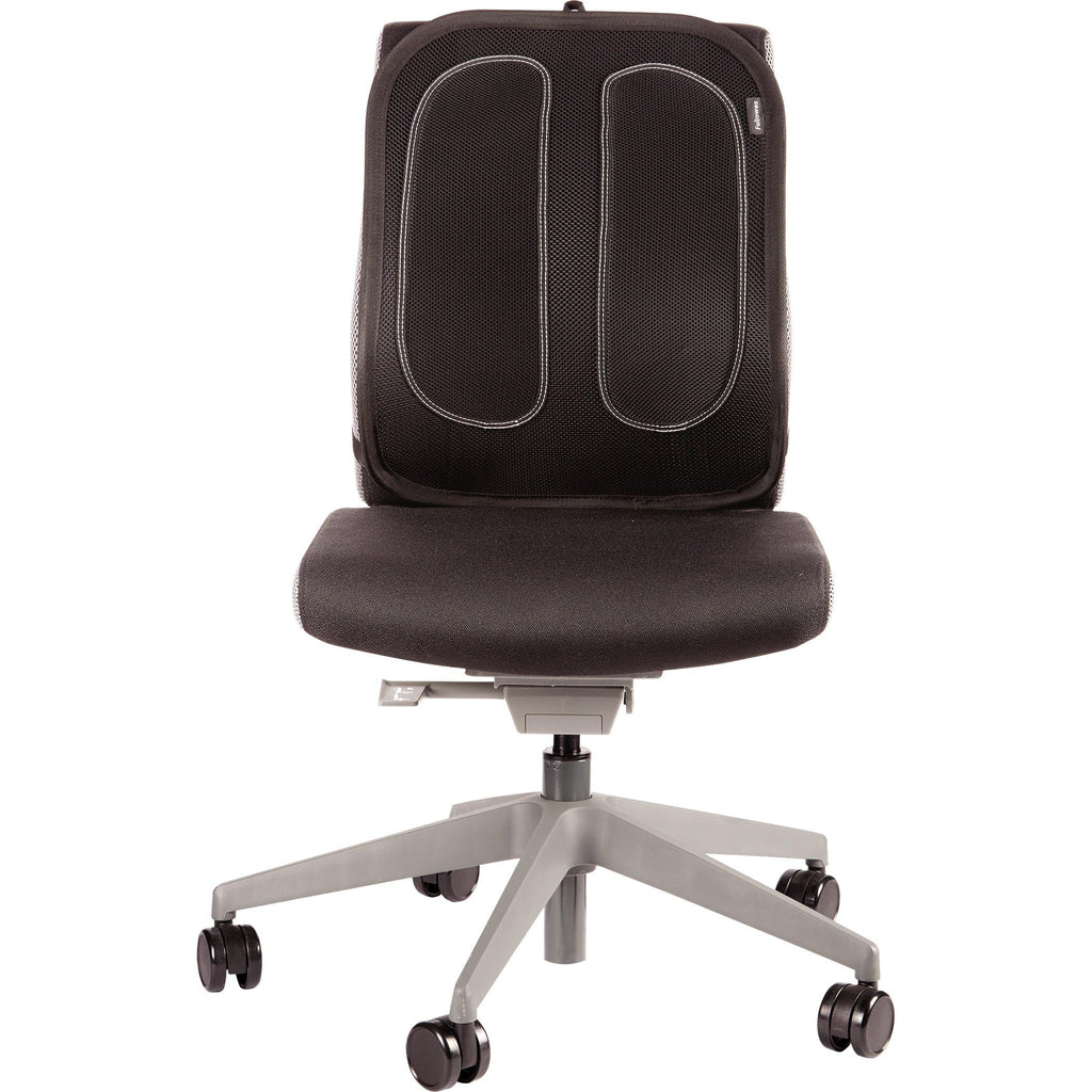 Fellowes Suites Mesh Back Support – Ergonomic Office Chair Lumbar, Graphite