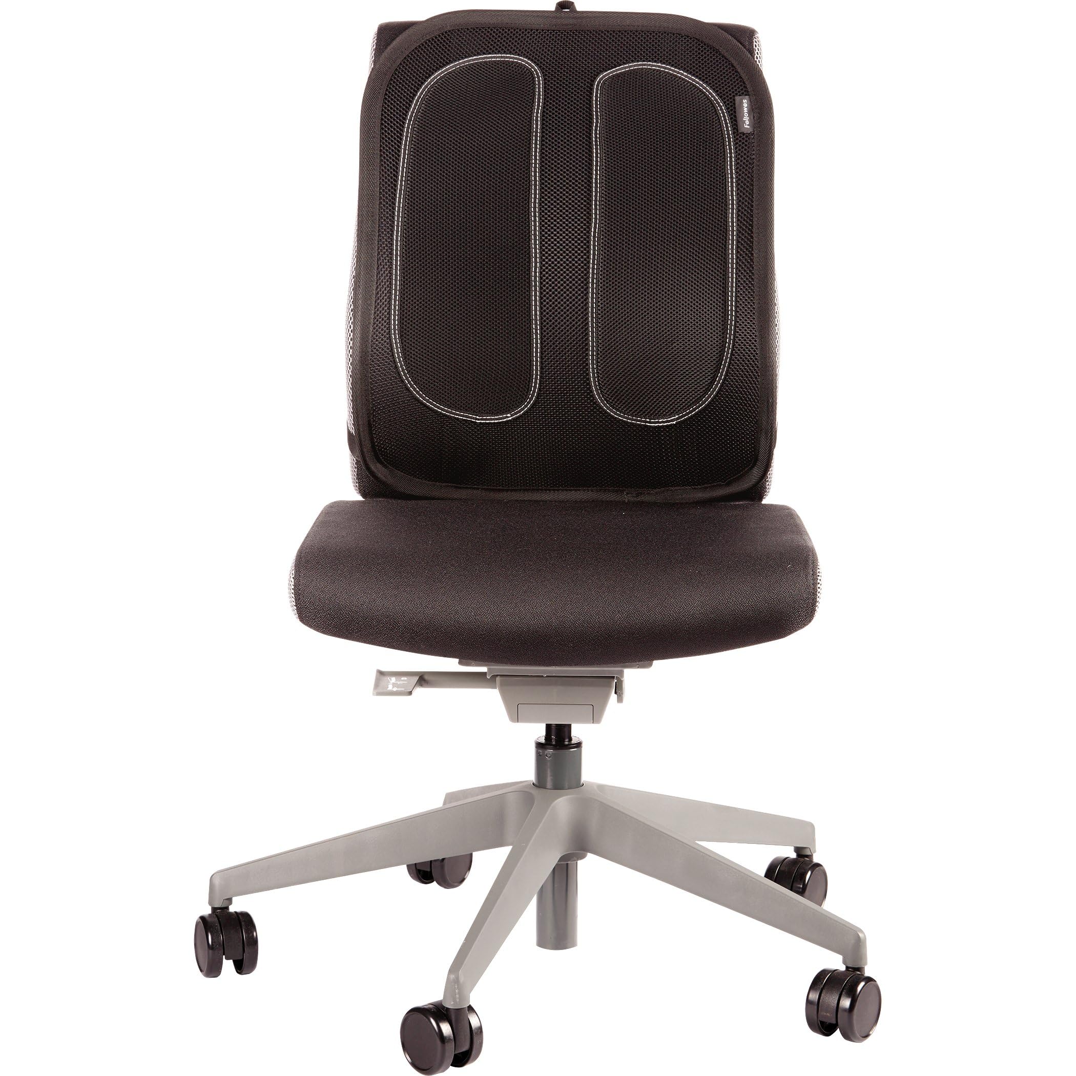 Fellowes Suites Mesh Back Support – Ergonomic Office Chair Lumbar, Graphite