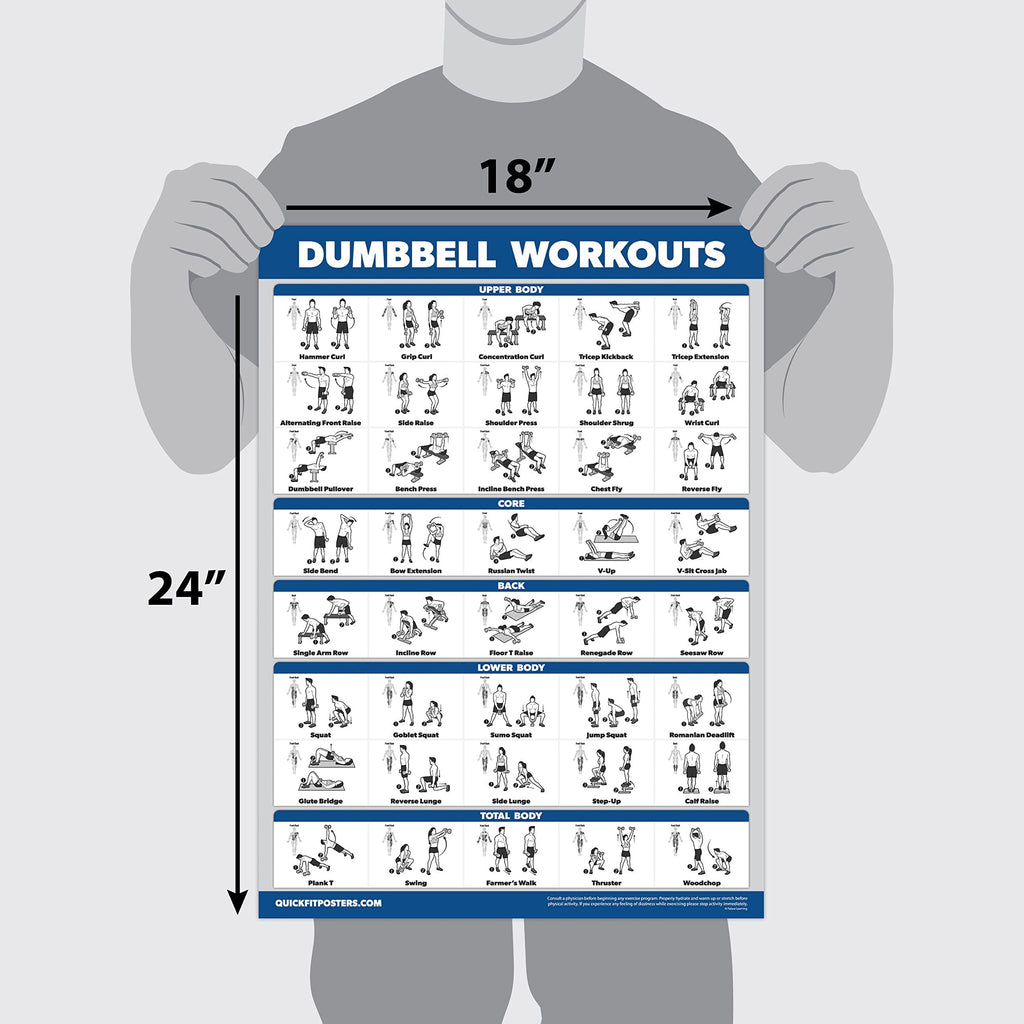 Palace Learning 16 Pack Exercise Poster Set – Laminated Home Gym Charts