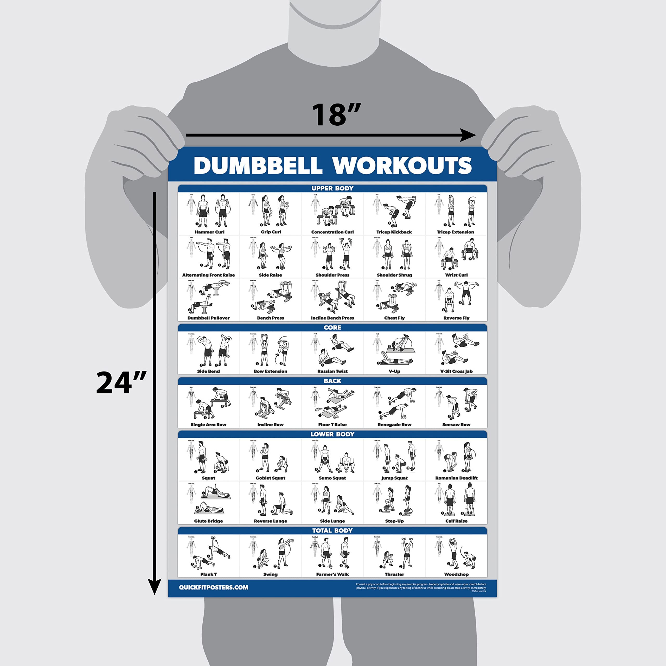 Palace Learning 16 Pack Exercise Poster Set – Laminated Home Gym Charts