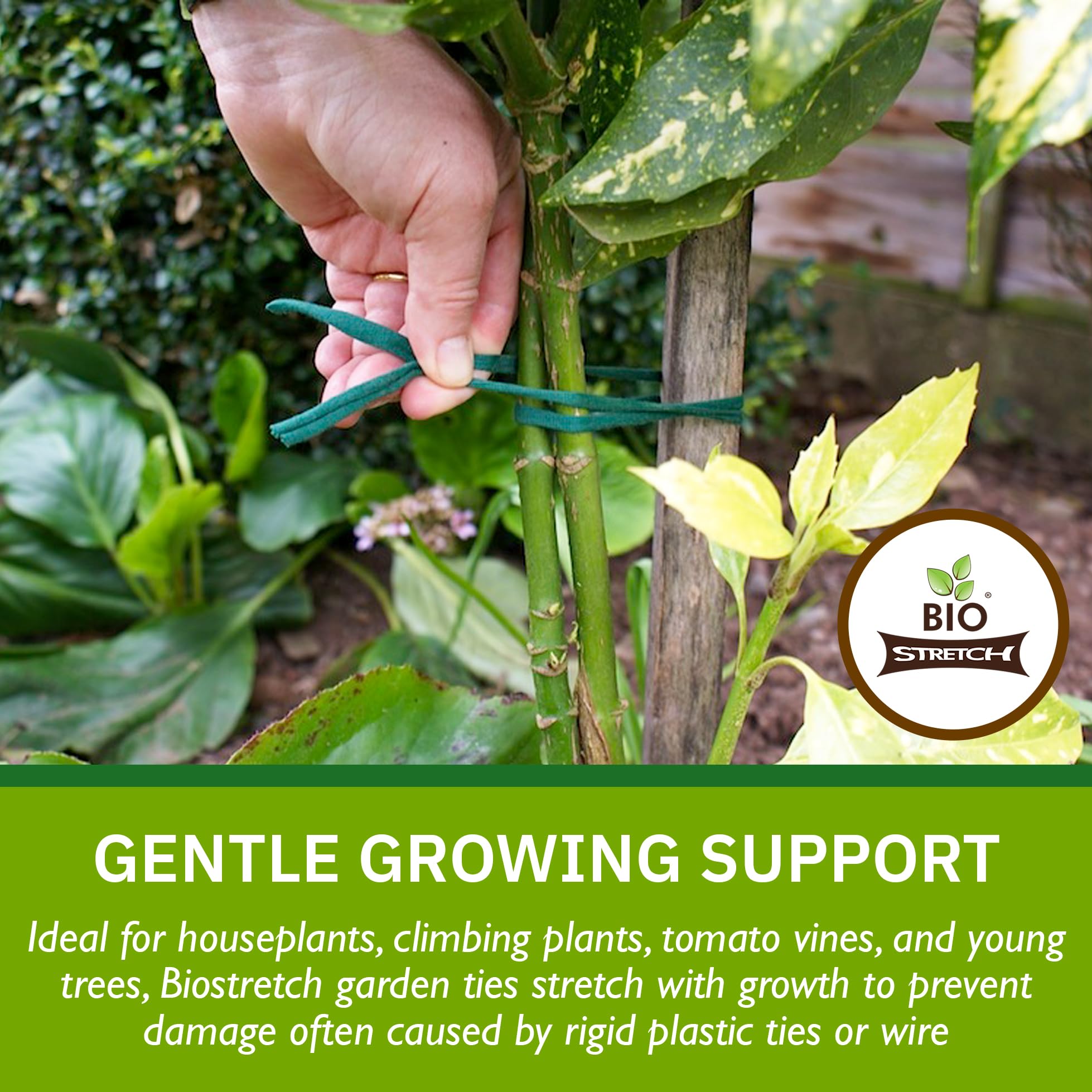 Biostretch Soft Garden Plant Ties – Stretchy Eco-Friendly Twine (200M)