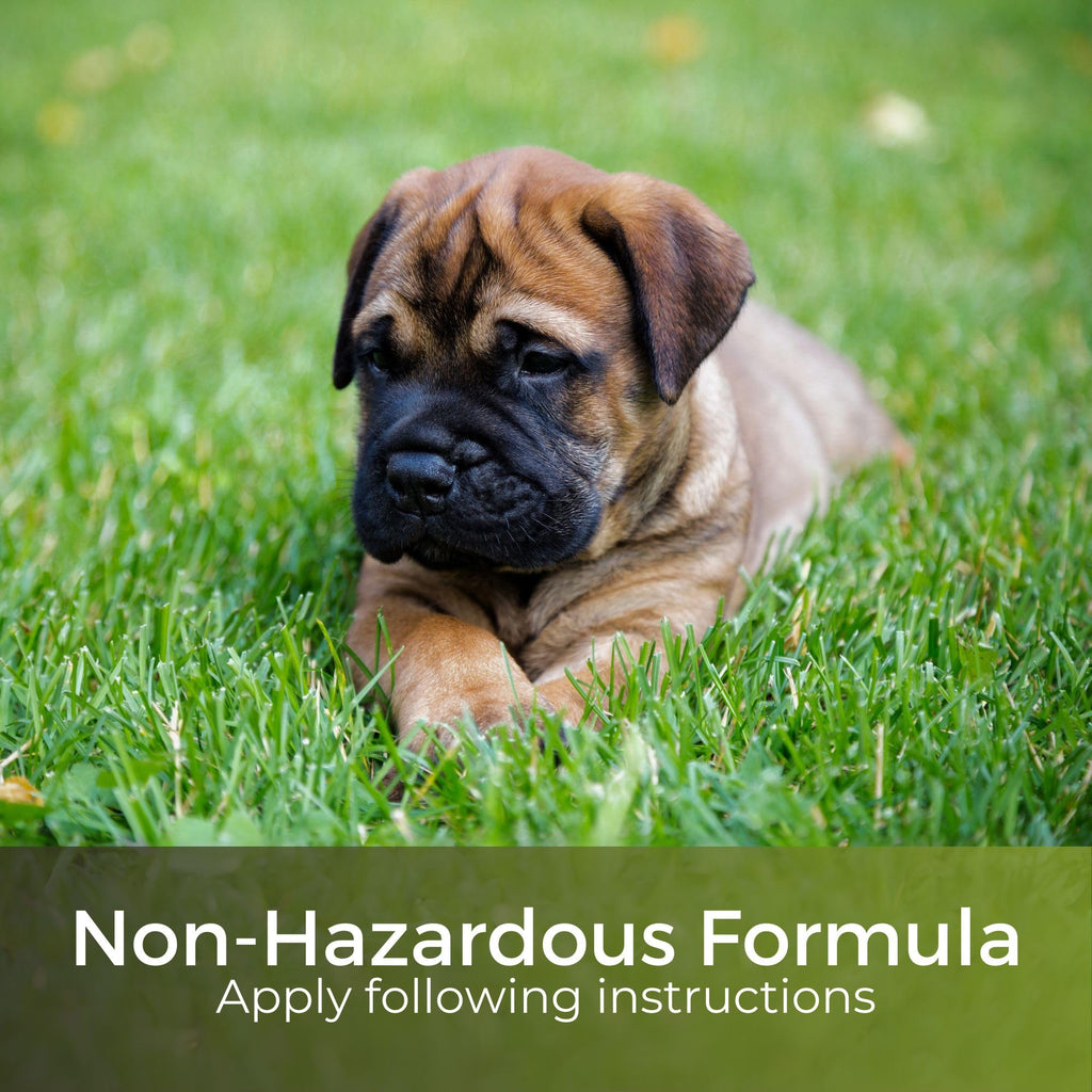 Autumn & Winter Lawn Fertiliser | Pet Safe Grass Feed