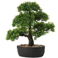 Briful 14.1" Artificial Bonsai Tree | Faux Japanese Pine Potted Plant