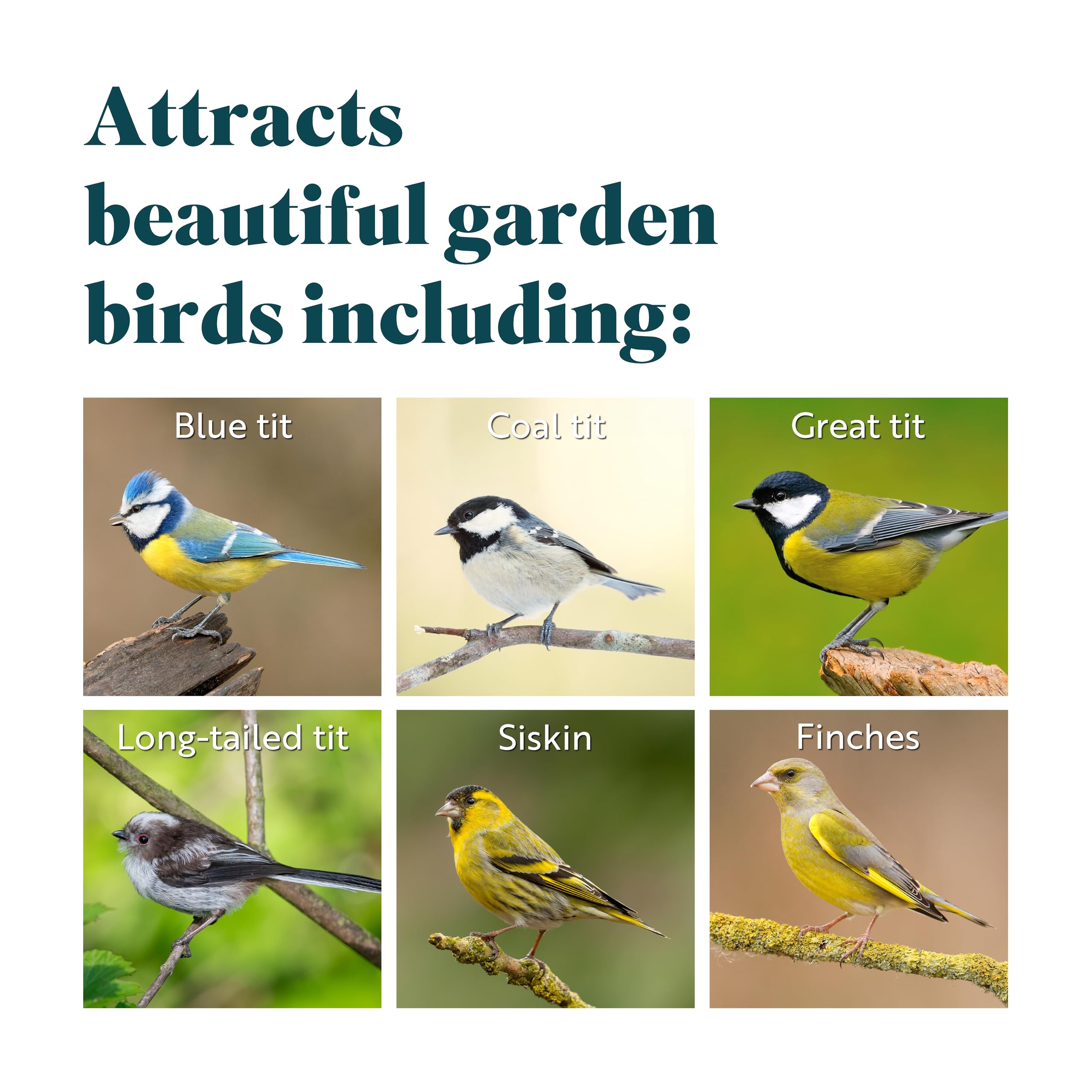 RSPB Peanuts for Wild Birds - High Energy Protein Bird Food - 12.75kg