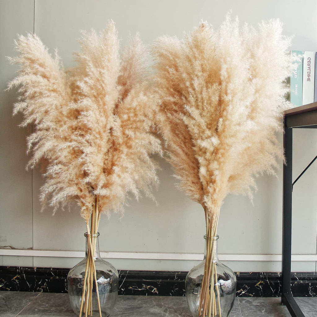 Bannifll 46-inch Natural Pampas Grass – 10 Stems Tall Beige Boho Decor