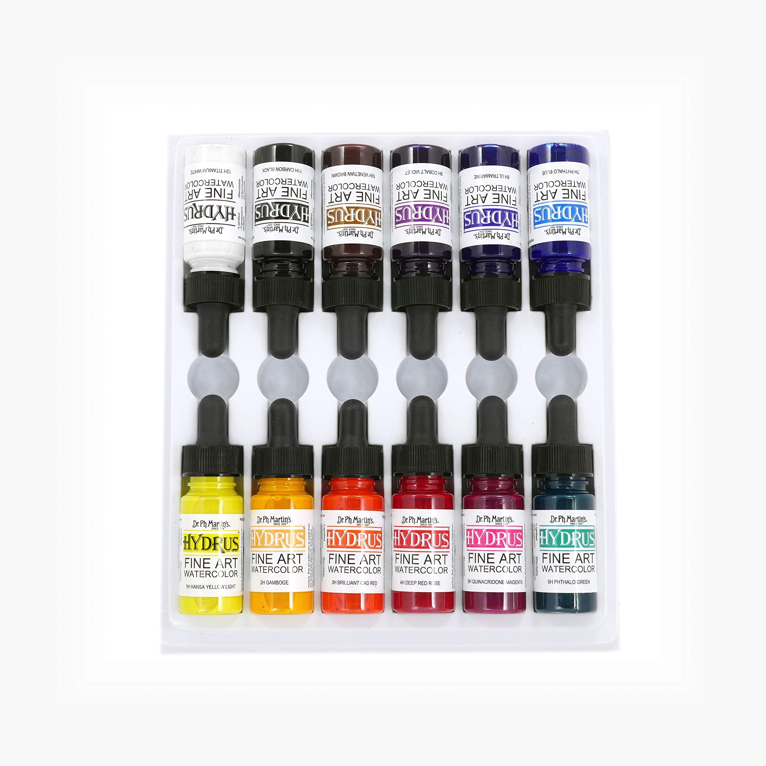 Dr. Ph. Martin's Hydrus Liquid Watercolor Set - 12 Fine Art Colors