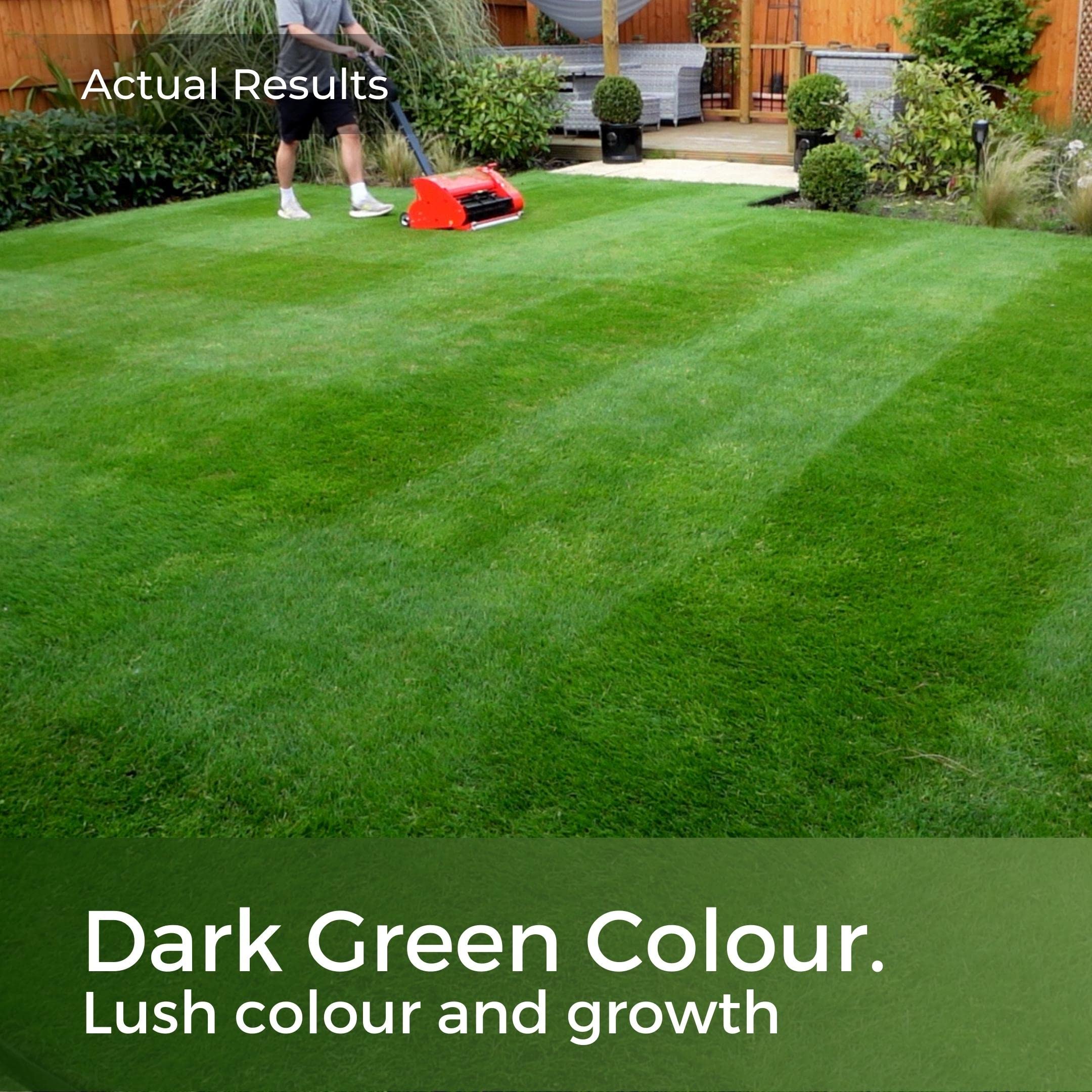 Dark Green Grass Seed – Fast Growing Rye Grass Mix (5kg)